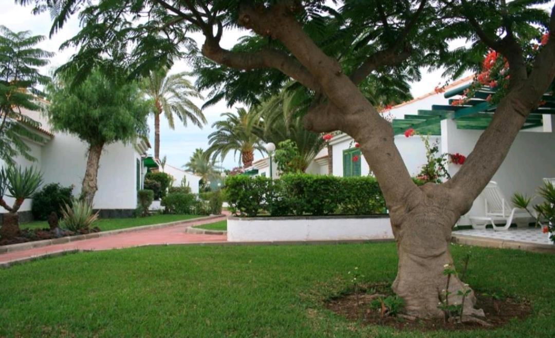 Vakantiehuis Maspalomas Dunas Golf